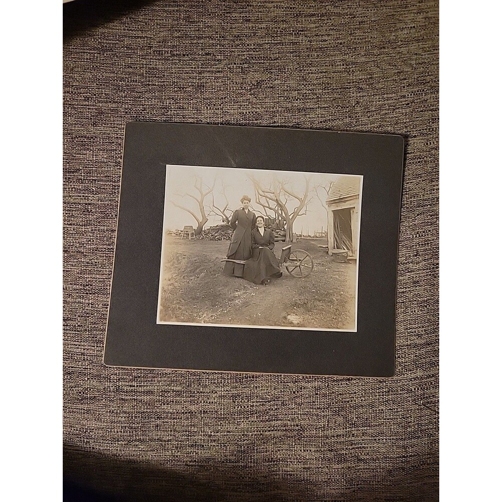 Antique Photograph Landscape Women Suit Dress Wheelbarrow Farm Couple Tree Happy